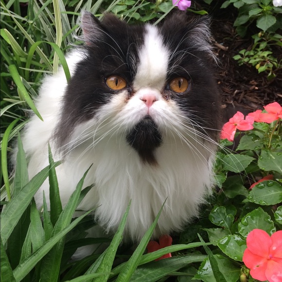 Meet your Posher, Wendy - Picture 5 of 8